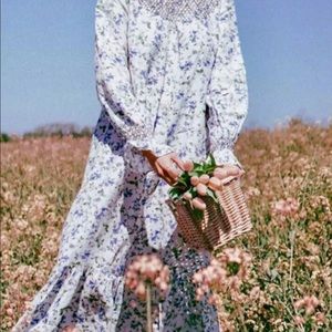 Zara Rustic Floral Print Dress *New